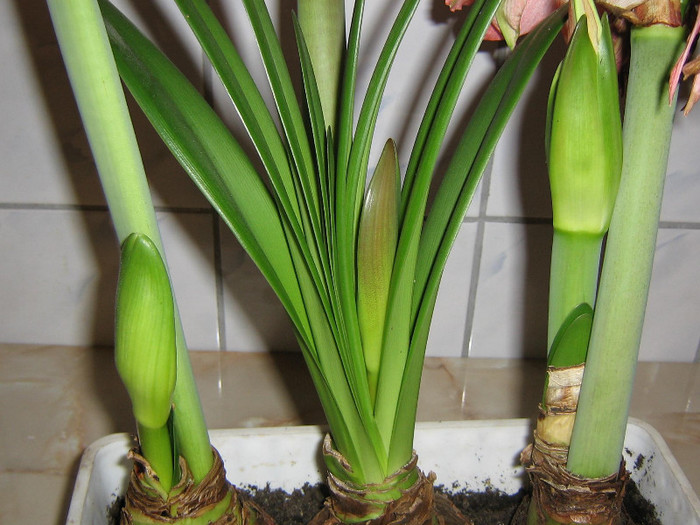 2331470350075666569fbBSxB_fs