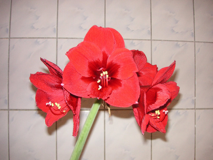 2346172340075666569cLknuO_fs