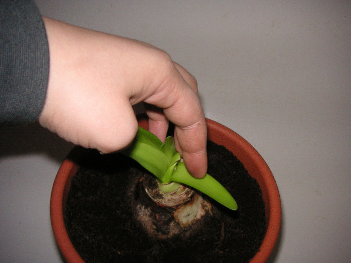 2353450560075666569vKNDAV_fs