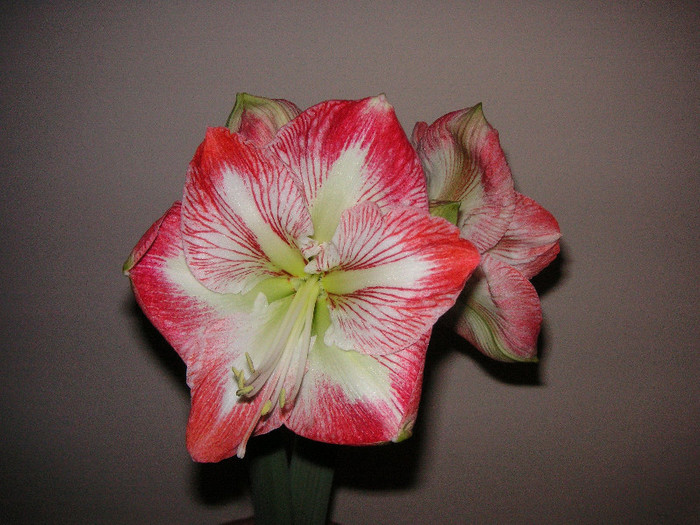 2369539690075666569uqXUFH_fs