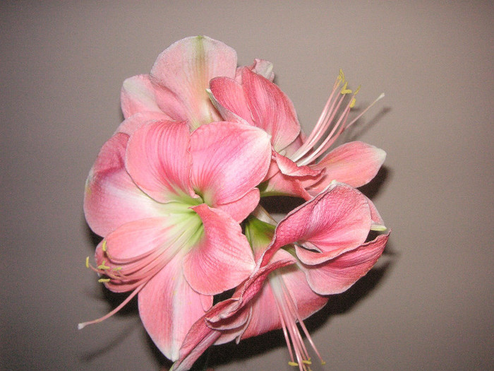 2384320690075666569dUbqPl_fs