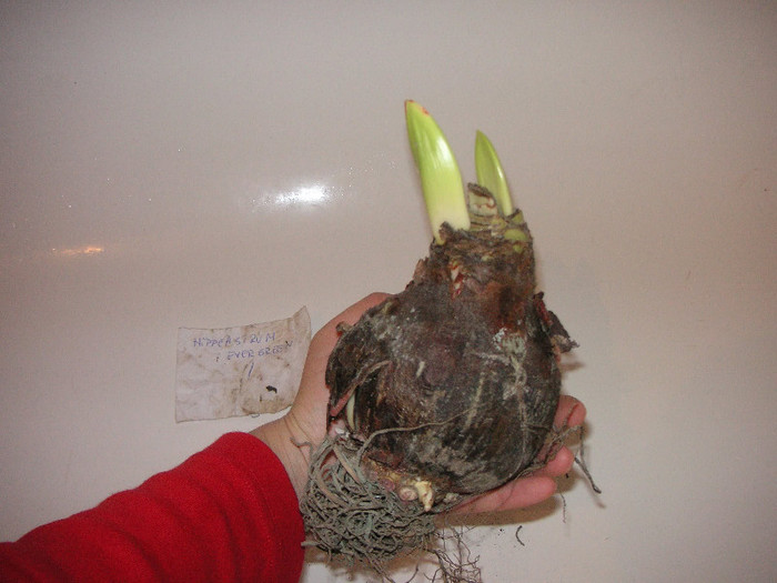 2400632210075666569vHHkBS_fs