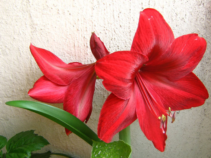 2411345100075666569hnWwBq_fs