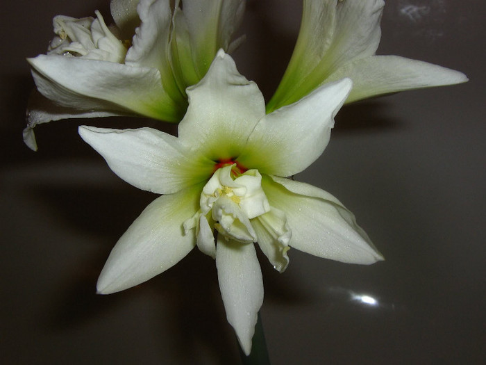 2413697020075666569AOqgCM_fs