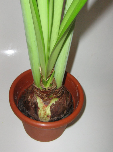 2419272410075666569gdcfQP_fs