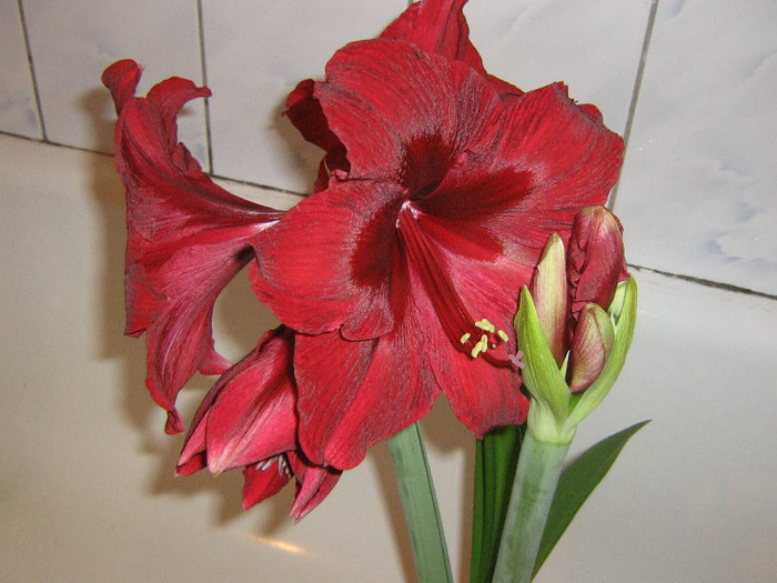 2432502660075666569ZvYulP_fs