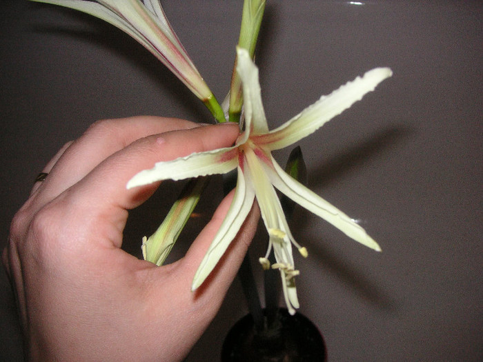 2438026340075666569HvRcfv_fs