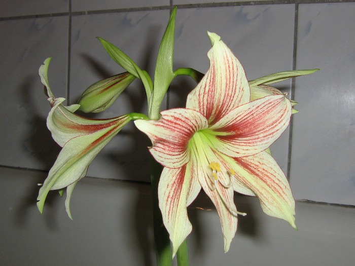 2439200580075666569SBGXyR_fs