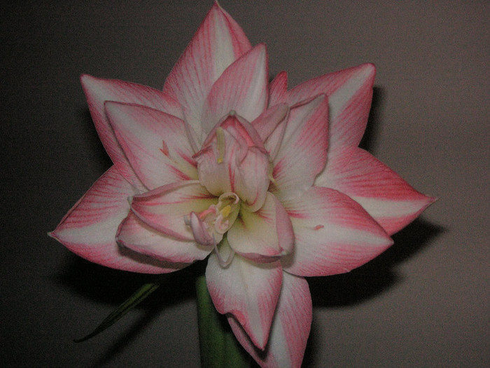 2476255510075666569pSzlrq_fs