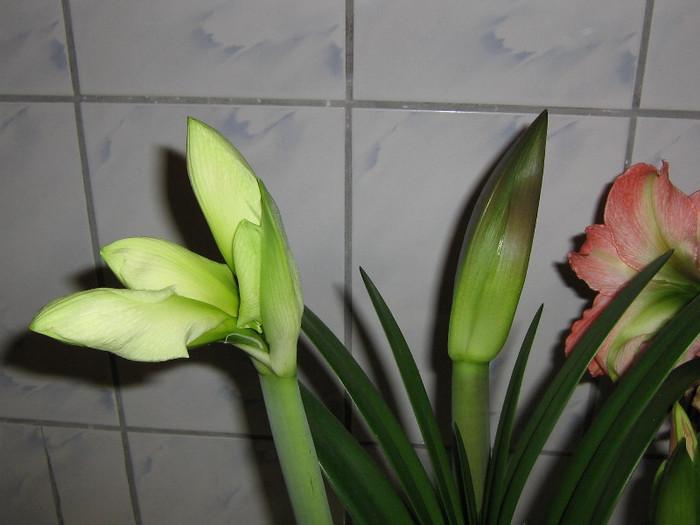 2482912310075666569vcQbHG_fs