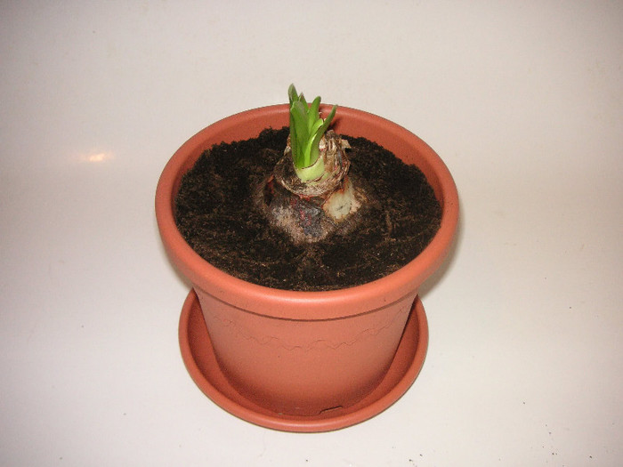 2562178520075666569OuLplc_fs