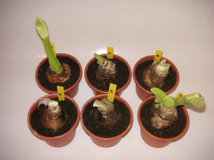 2564947090075666569XOazhM_fs