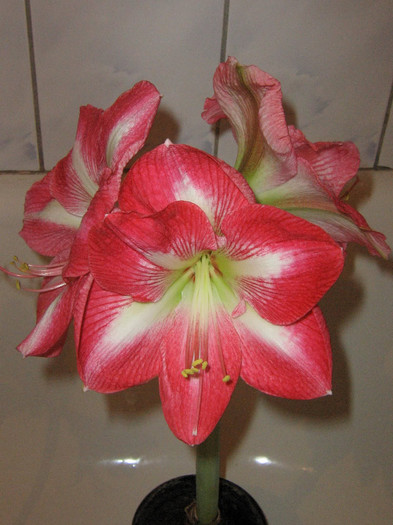 2567202400075666569FxcvPC_fs