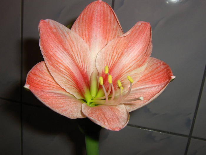 2570109470075666569AOfTnL_fs