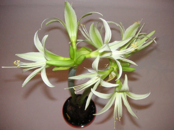 2571763840075666569NqMRah_fs