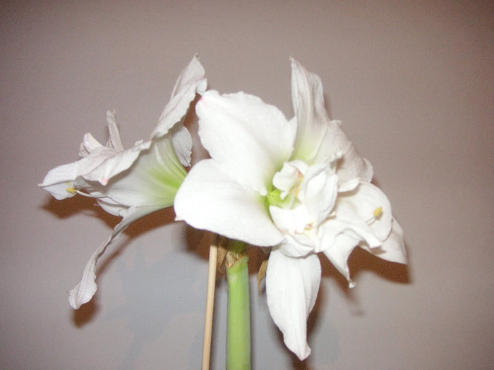 2581013570075666569fNCjvN_fs