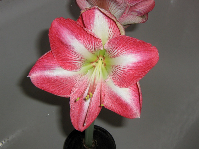 2581126220075666569cQfMly_fs