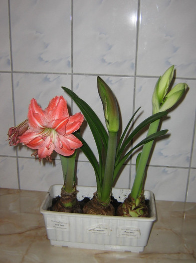 2588322750075666569eKhiKQ_fs