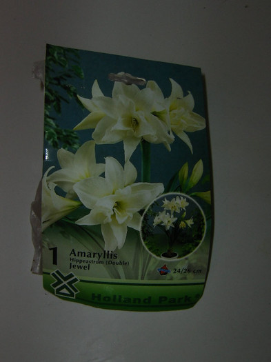 2596811280075666569rqrwsg_fs