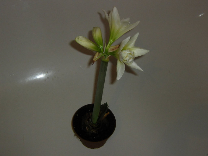 2614941970075666569FBkEfY_fs