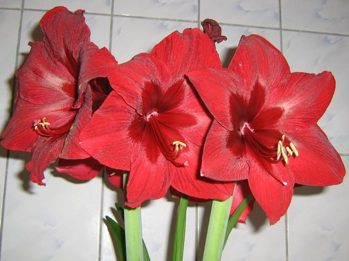 2925604200075666569JZEkCN_fs