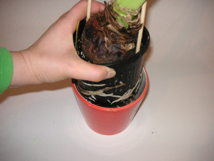 2935895570075666569QIAamL_fs