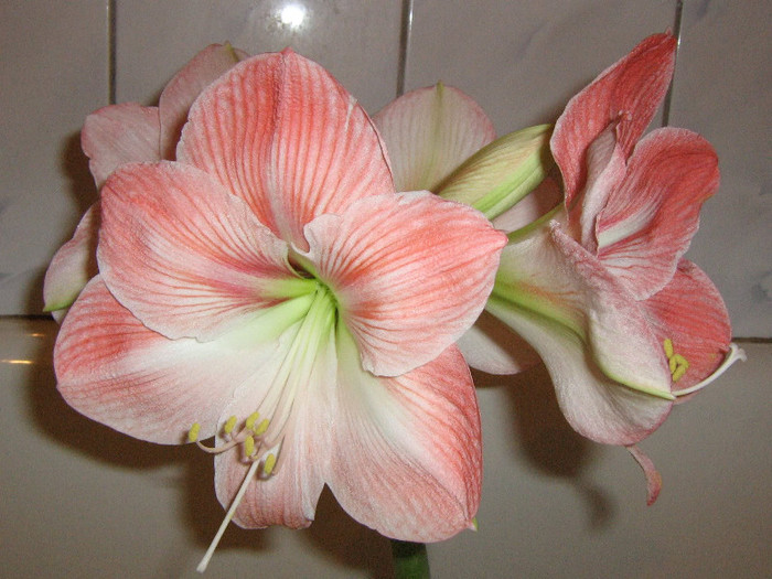 2946804200075666569PJDxtT_fs