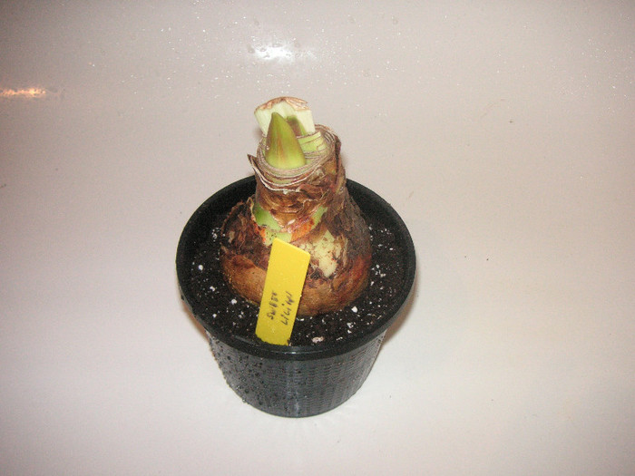 2951269240075666569gqDqNg_fs