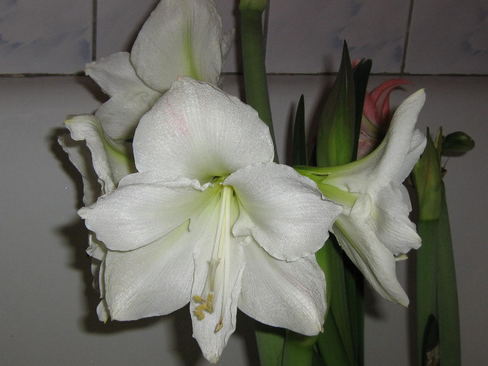 2959452810075666569ERKZYF_fs