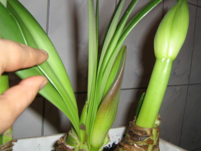 2972084950075666569DrNzXw_fs