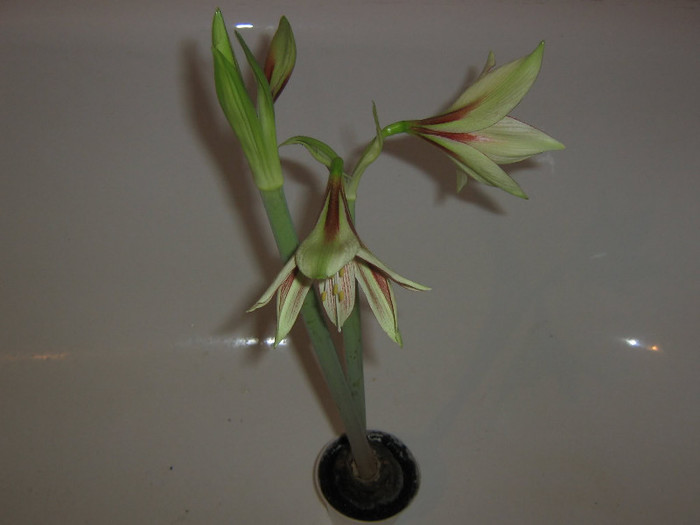 2992784190075666569QSWwfu_fs