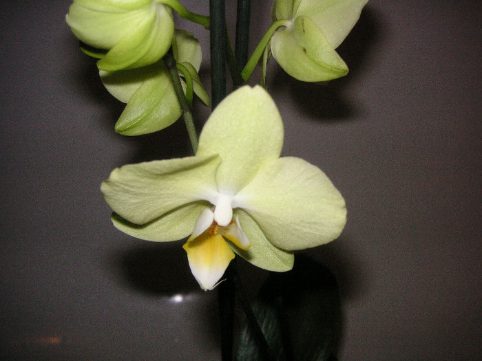 2076594960075666569LDgClY_fs