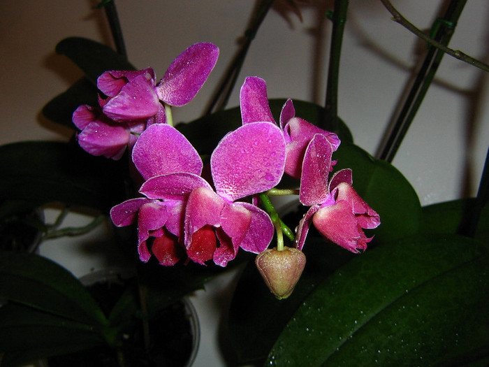 2086421050075666569JSJKcO_fs