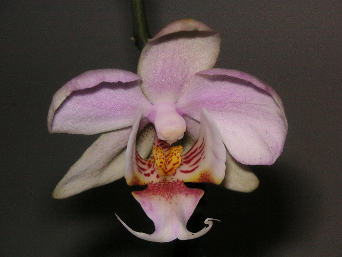 2128343100075666569GSQFtq_fs