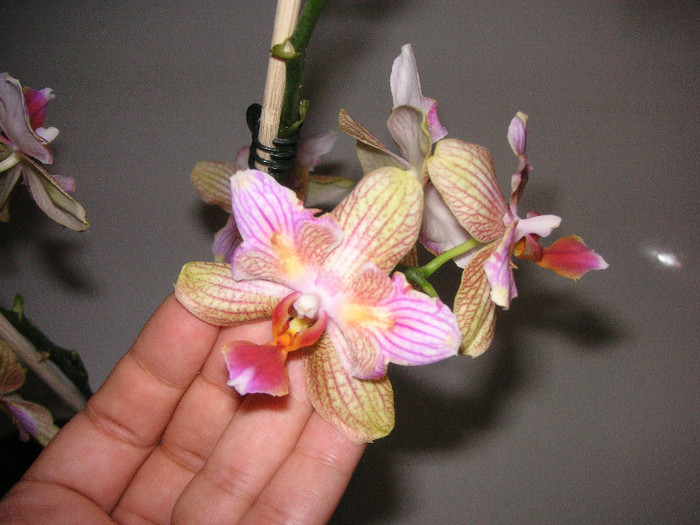 2153032520075666569GZZQiZ_fs