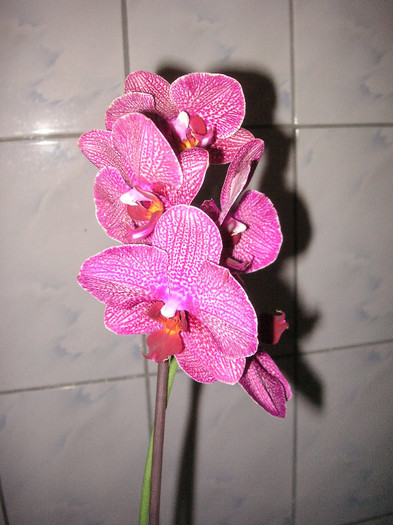 2154702260075666569EcYZMi_fs