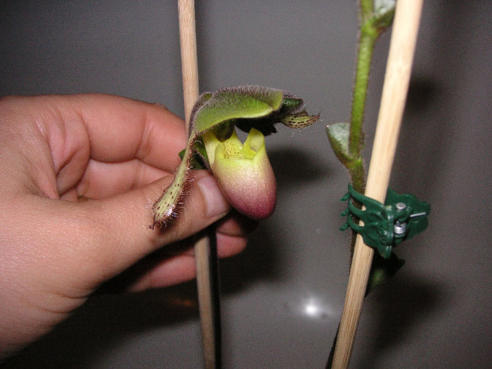 2189661470075666569dtKJON_fs