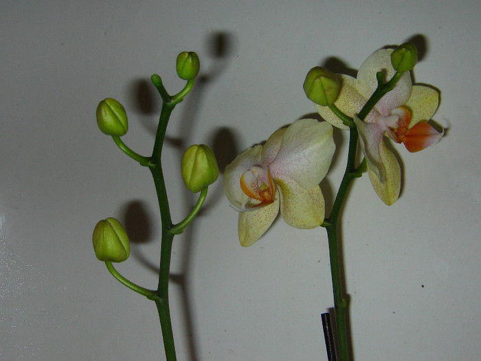 2194898830075666569QhDWbd_fs