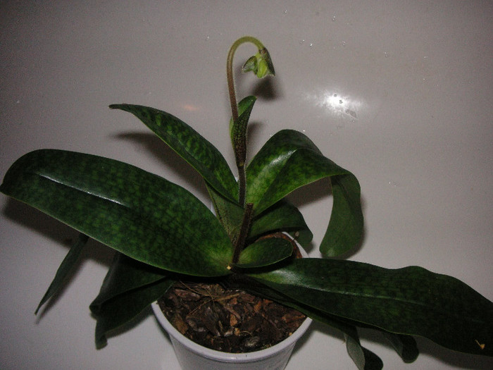 2225055500075666569OxwTYX_fs