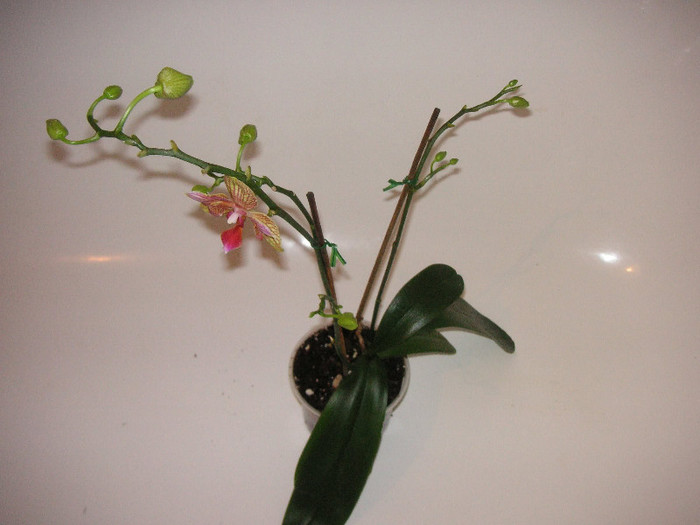 2231110490075666569RRmlpx_fs