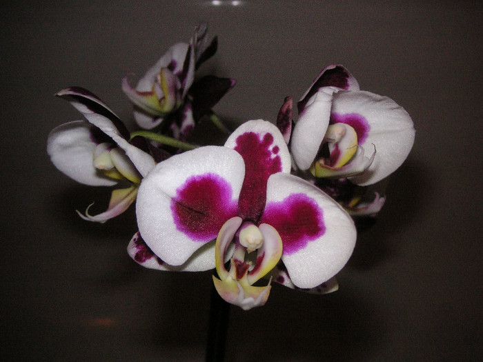 2236534020075666569INGTJY_fs