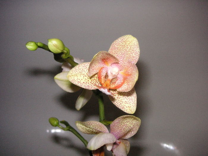 2325613000075666569SseoOe_fs