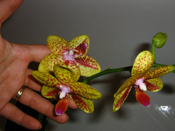 2341789380075666569llfEka_fs