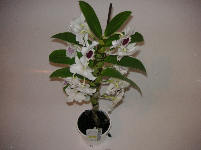 2343138710075666569kTZQQK_fs