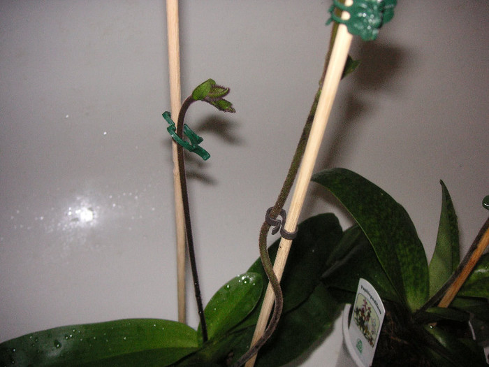 2351465960075666569cFwOsB_fs