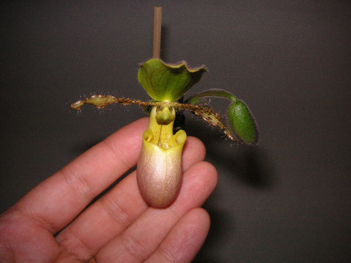 2355117020075666569uzbhGe_fs