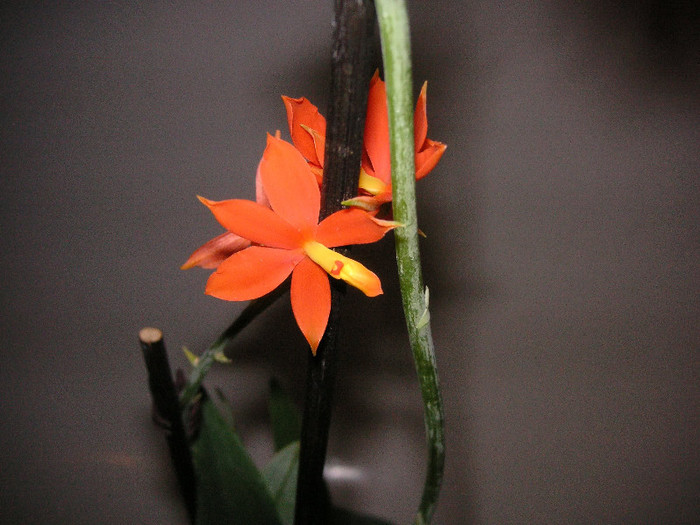 2361461650075666569DYgyKZ_fs