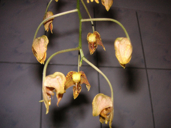 2373852470075666569UbzLRc_fs