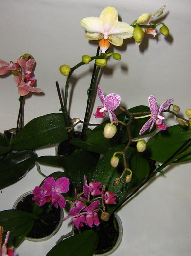 2399504470075666569kVVgKJ_fs