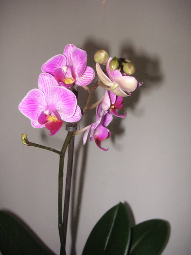 2400078410075666569httOZU_fs